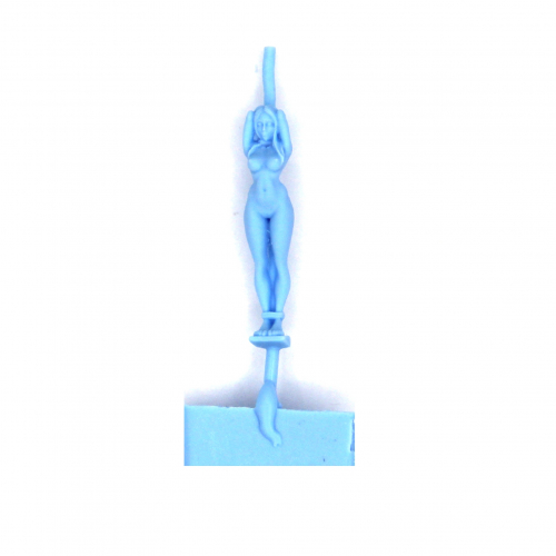 FEMALE SUBMISSIVE NAKED & BOUND TO POST