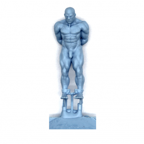 CAPTURED NAKED WARRIOR